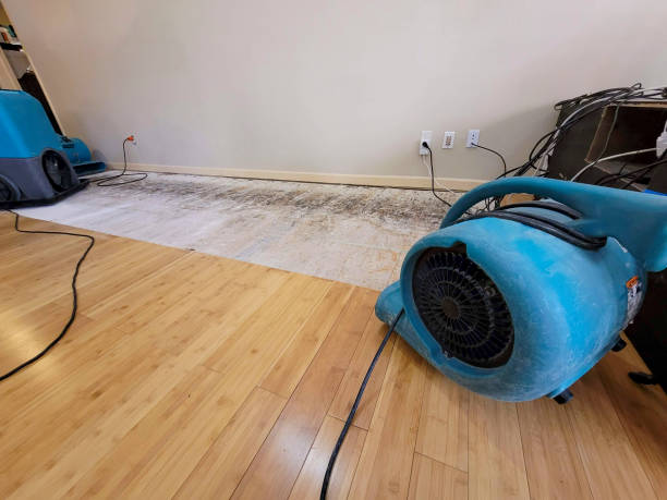Professional Ceiling Water Damage Repair technician working in Chokoloskee, FL